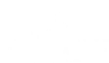 Logo Distillerie Nardini